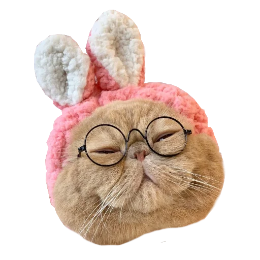 ☺ Стикер «Cats in hats» для Telegram