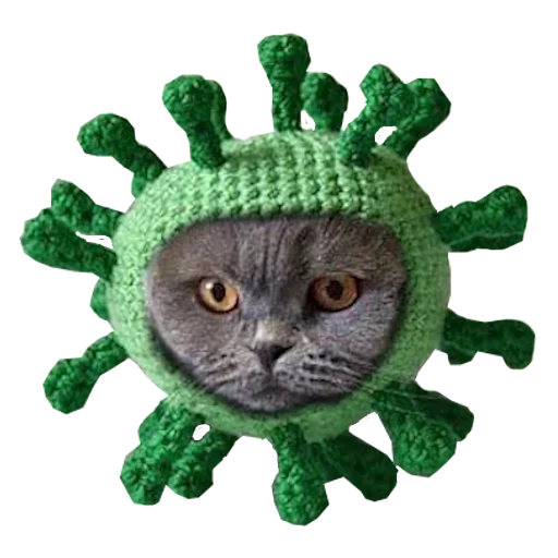 🦠 Стикер «Cats in hats» для Telegram