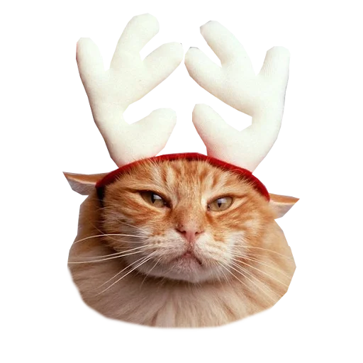 🦌 Стикер «Cats in hats» для Telegram