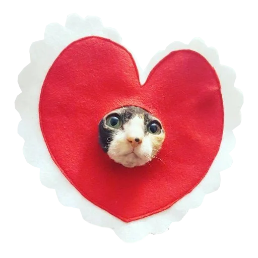 ❤ Стикер «Cats in hats» для Telegram