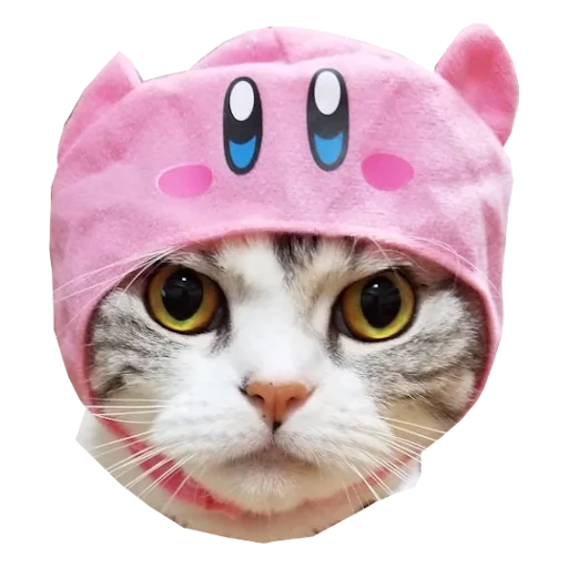 😠 Стикер «Cats in hats» для Telegram