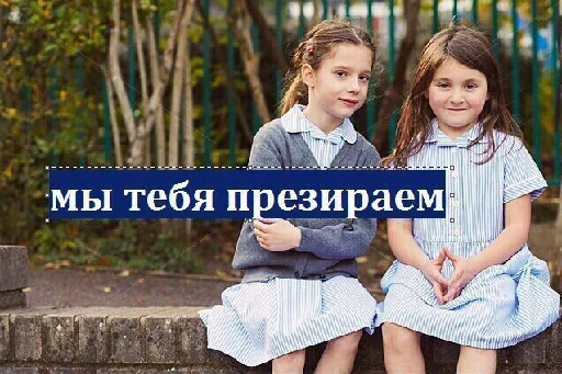 🙂 Стикер «kitties» для Telegram