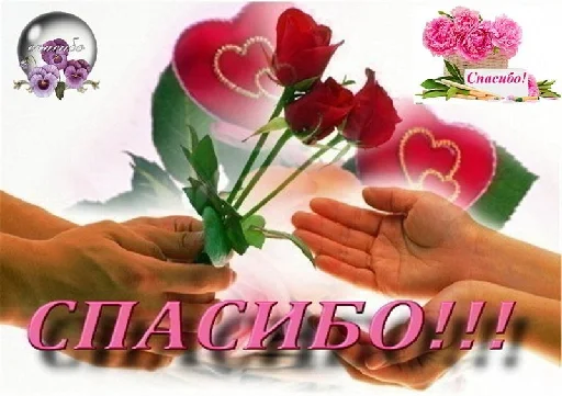 💕 Стикер «kitties» для Telegram