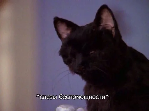 😔 Стикер «kitties» для Telegram