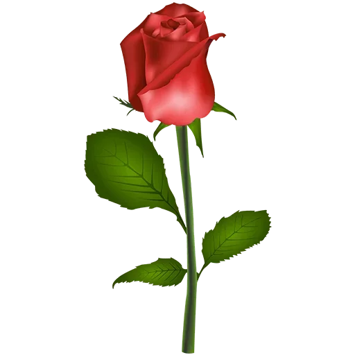 🌷 Стикер «heartandflowergre» для Telegram