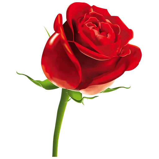 🧡 Стикер «heartandflowergre» для Telegram