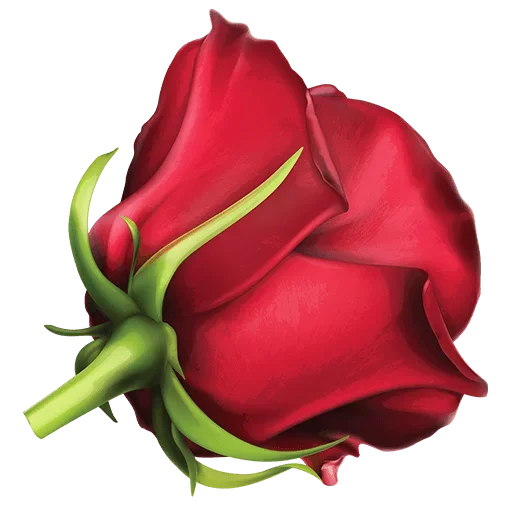 🌹 Стикер «heartandflowergre» для Telegram