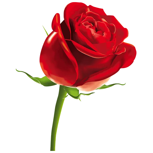 🌹 Стикер «Heart Flower» для Telegram
