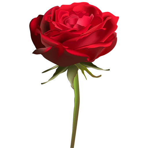 🌹 Стикер «Heart Flower» для Telegram