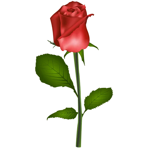 🌹 Стикер «Heart Flower» для Telegram
