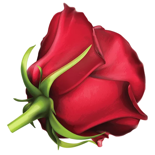 🌹 Стикер «Heart Flower» для Telegram