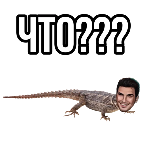 😨 Стикер «Секрет небес 4 Bobby» для Telegram
