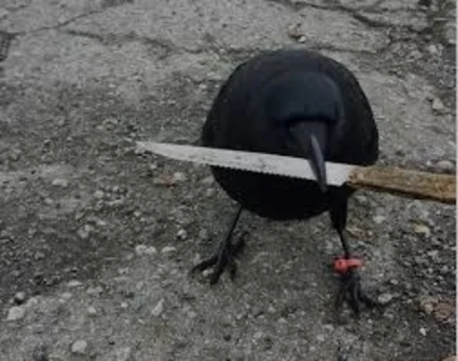 🗡 Стикер «Birb» для Telegram