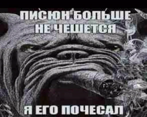 🐕 Стикер «недындра» для Telegram