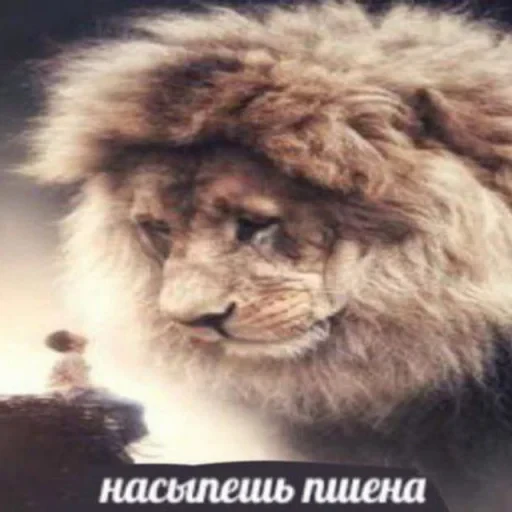 🌾 Стикер «недындра» для Telegram