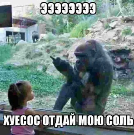 🧂 Стикер «недындра» для Telegram