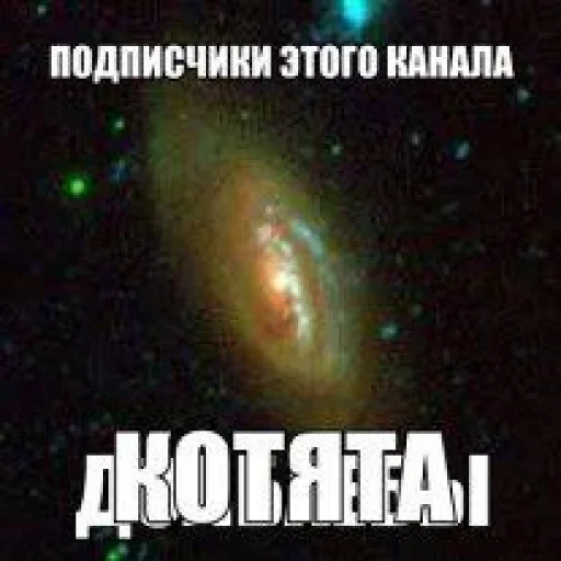 😸 Стикер «недындра» для Telegram