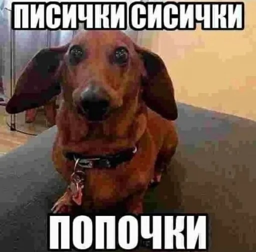 🦮 Стикер «недындра» для Telegram