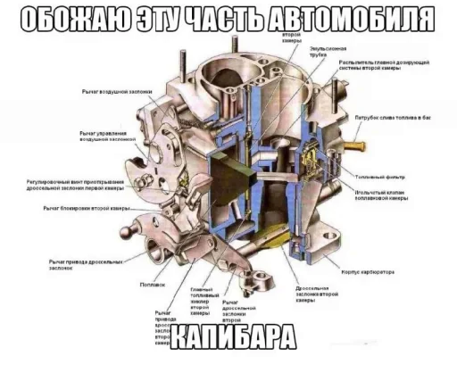 🛻 Стикер «недындра» для Telegram