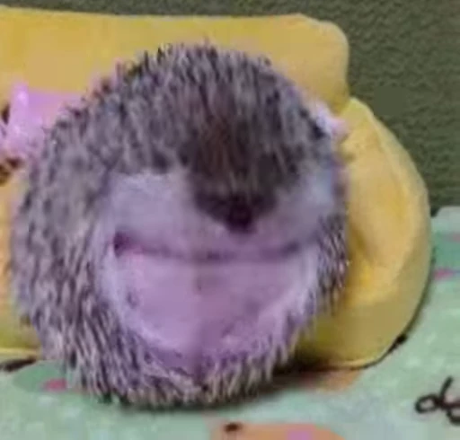 🦔 Стикер «Hedgehog» для Telegram