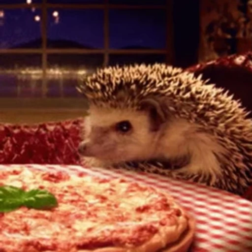 🦔 Стикер «Hedgehog» для Telegram