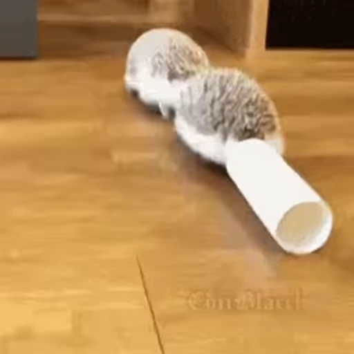🦔 Стикер «Hedgehog» для Telegram
