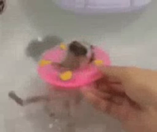 🦔 Стикер «Hedgehog» для Telegram