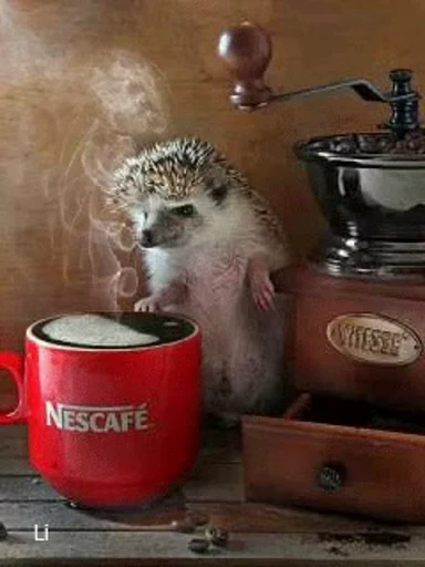 🦔 Стикер «Hedgehog» для Telegram