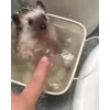 Стикер 7 ☺️ Ёжики