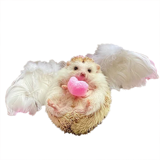 😇 Стикер «hedgehogs Beauty Stickers» для Telegram