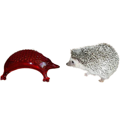 🤨 Стикер «hedgehogs Beauty Stickers» для Telegram