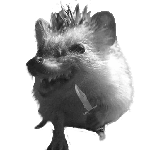 😱 Стикер «hedgehogs Beauty Stickers» для Telegram