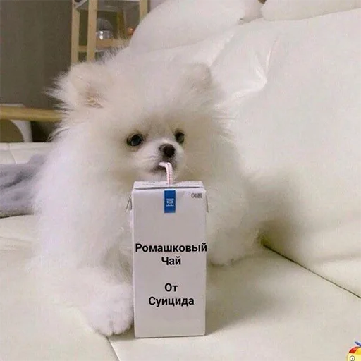 🔪 Стикер «Mav~» для Telegram