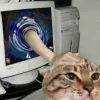 Стикер 54 Ultimate Memes