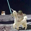 Стикер 17 Ultimate Memes
