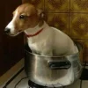 Стикер 37 Ultimate Memes