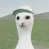 Стикер 25 Ultimate Memes