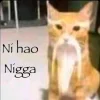 Стикер 23 Ultimate Memes