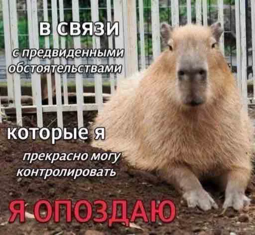 ⏰ Стикер «Hehehehehehehehe» для Telegram