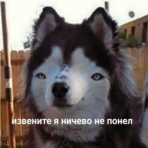 🤔 Стикер «Hehehehehehehehe» для Telegram