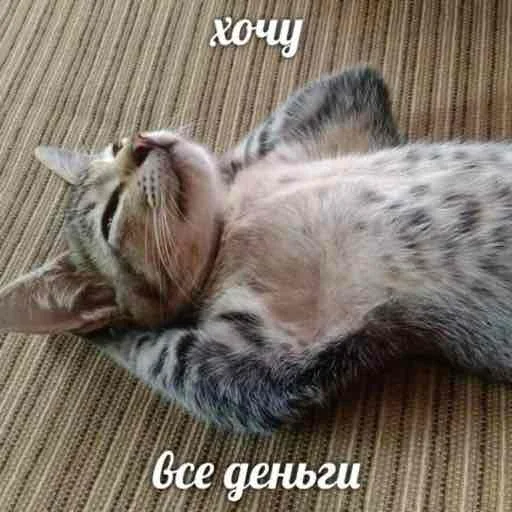 💴 Стикер «Hehehehehehehehe» для Telegram