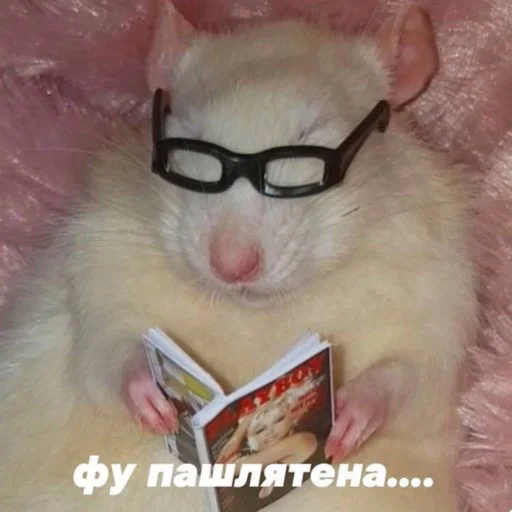 😵 Стикер «Hehehehehehehehe» для Telegram