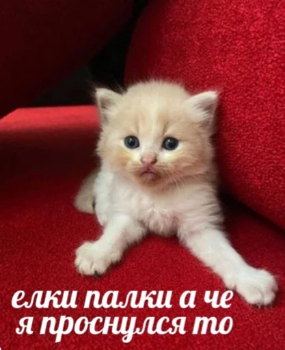 😨 Стикер «Hehehehehehehehe» для Telegram