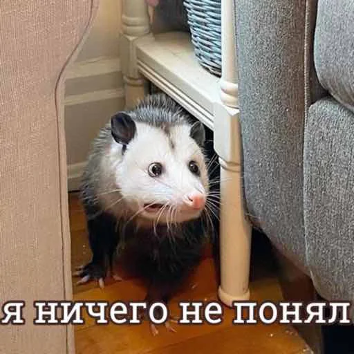 🙄 Стикер «Hehehehehehehehe» для Telegram