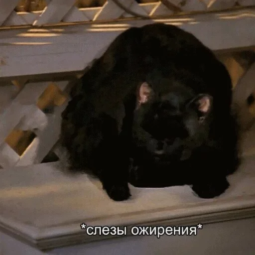 😪 Стикер «Hehehehehehehehe» для Telegram