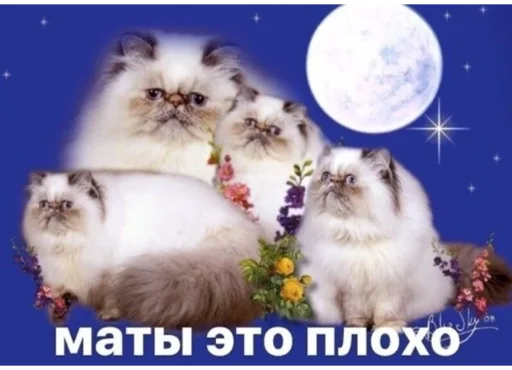 🛑 Стикер «Hehehehehehehehe» для Telegram