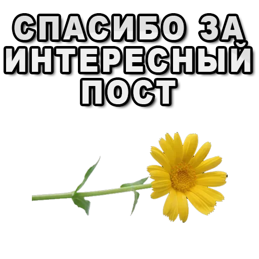 🙏 Стикер «Hehehehehehehehe» для Telegram