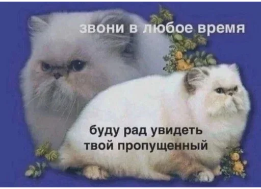 📱 Стикер «Hehehehehehehehe» для Telegram