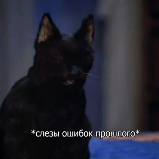 😭 Стикер «Hehehehehehehehe» для Telegram
