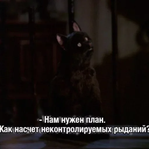😢 Стикер «Hehehehehehehehe» для Telegram